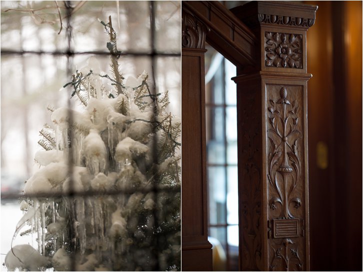 Snow and Ice on Tree and Interior Tree Carving Detail