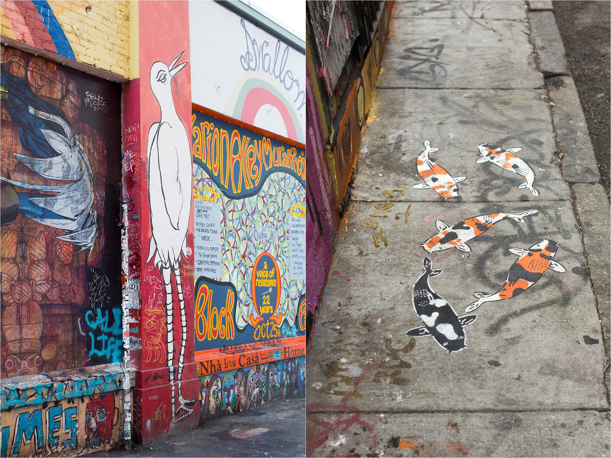 Clarion Alley Murals Bird and Goldfish