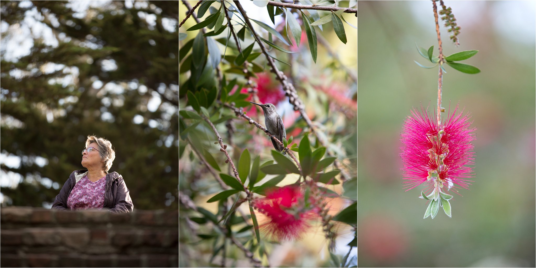 Mom and Hummingbirds
