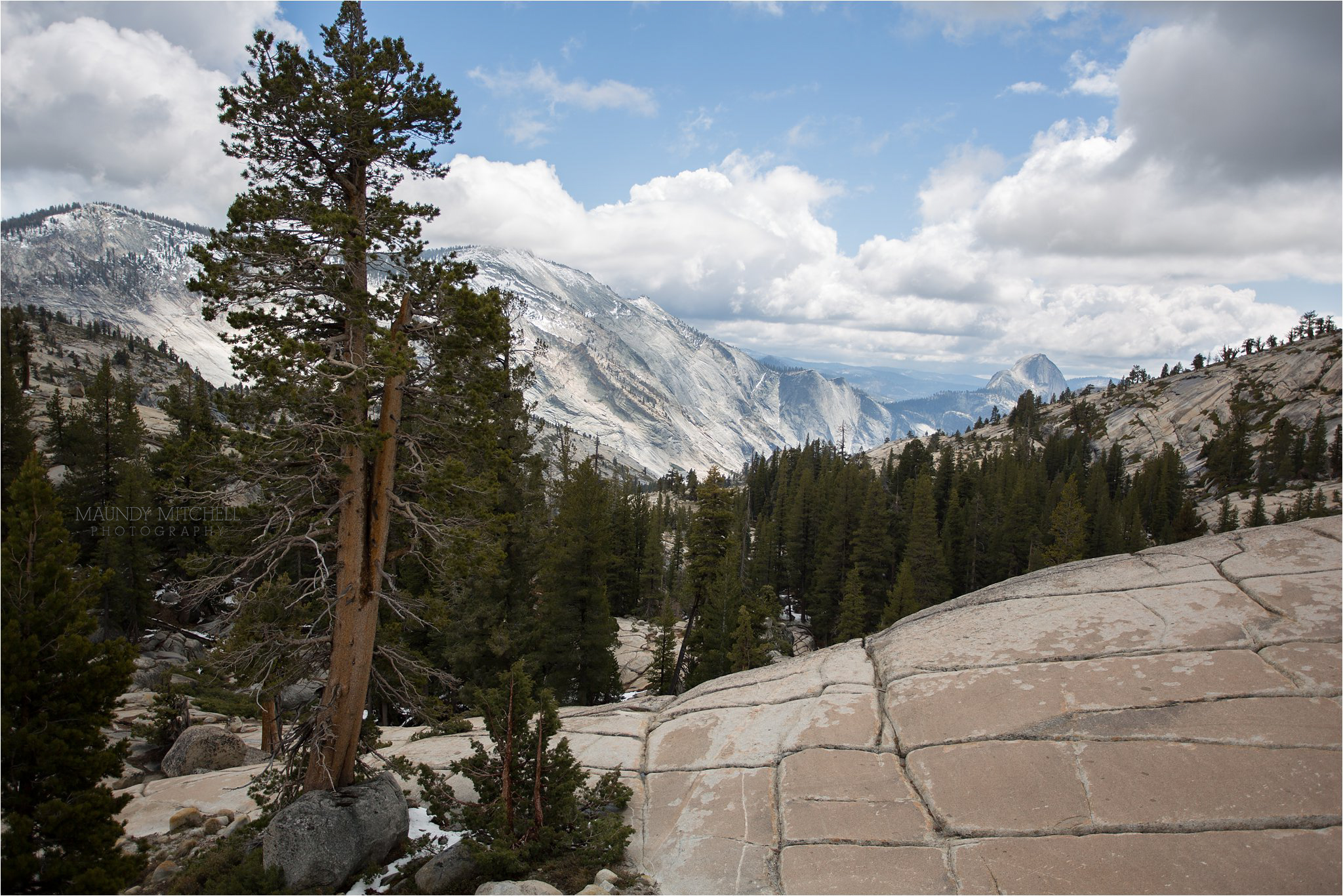 Tioga Pass View