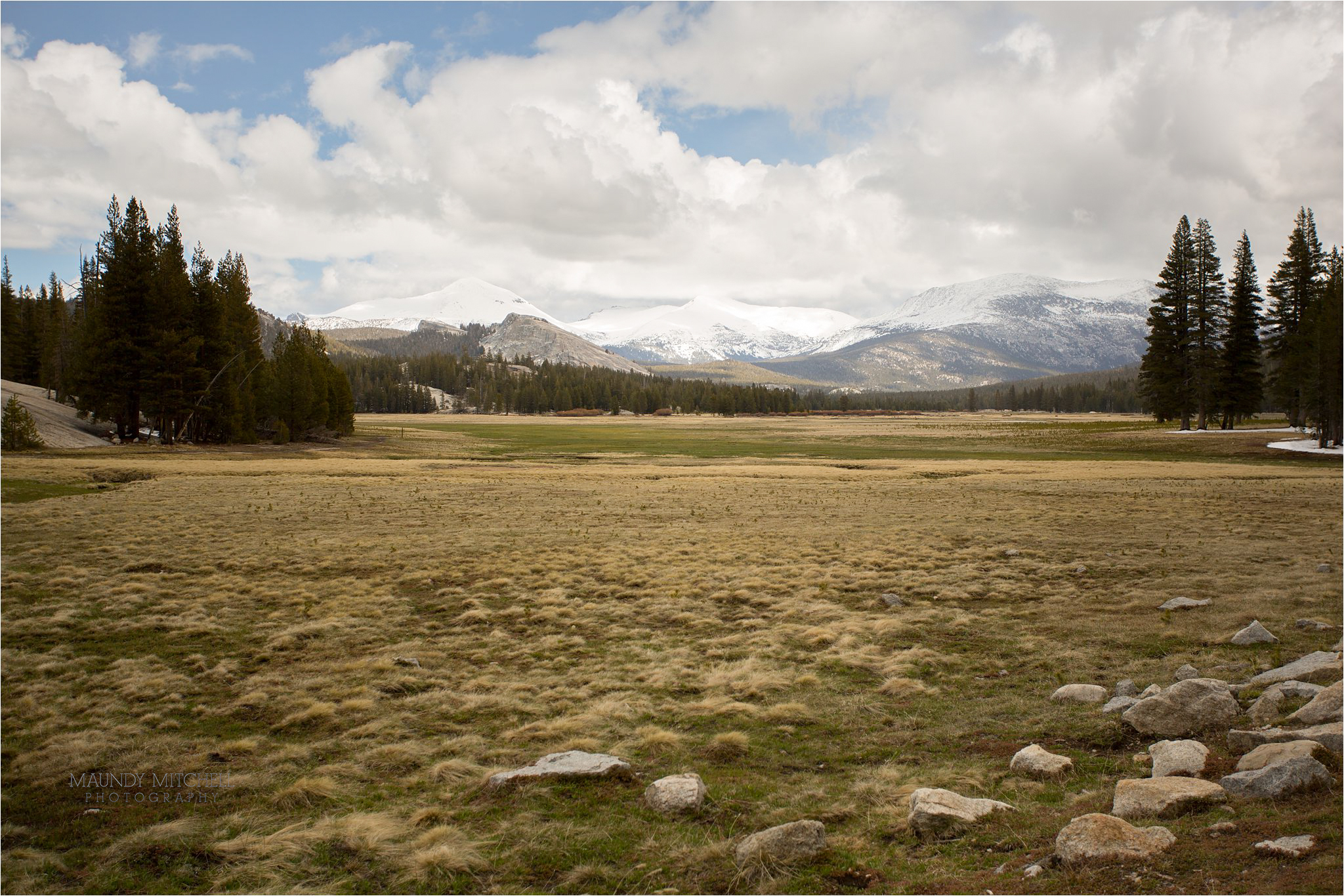 Tuolumne Meadow