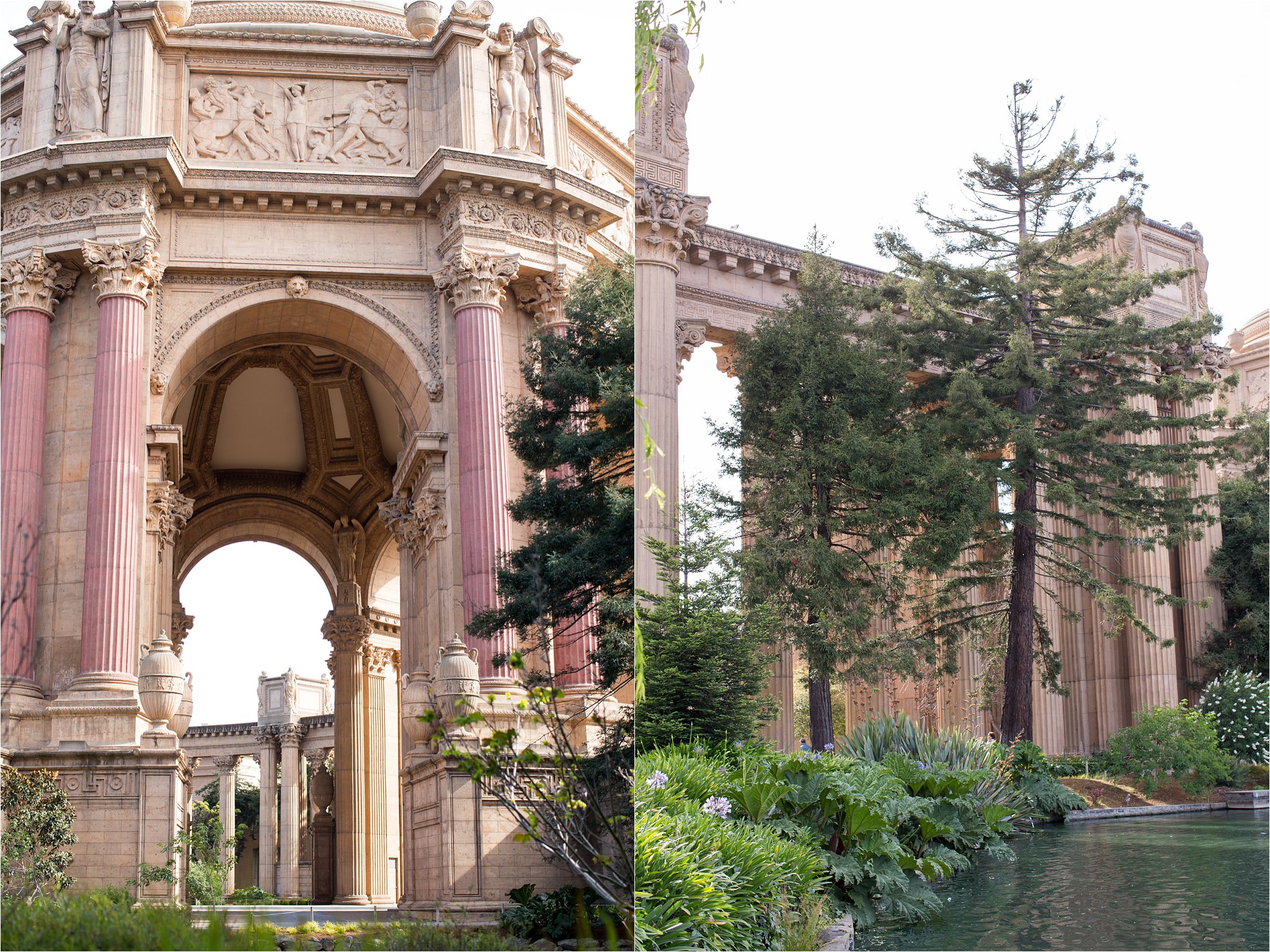 Palace of Fine Arts and Cedar Tree