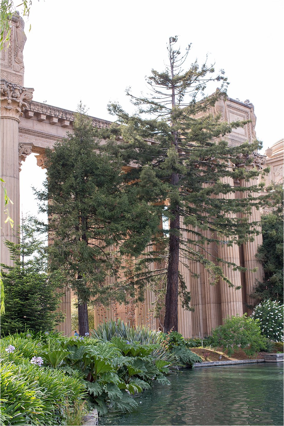 Outdoor Engagement Photos in San Francisco