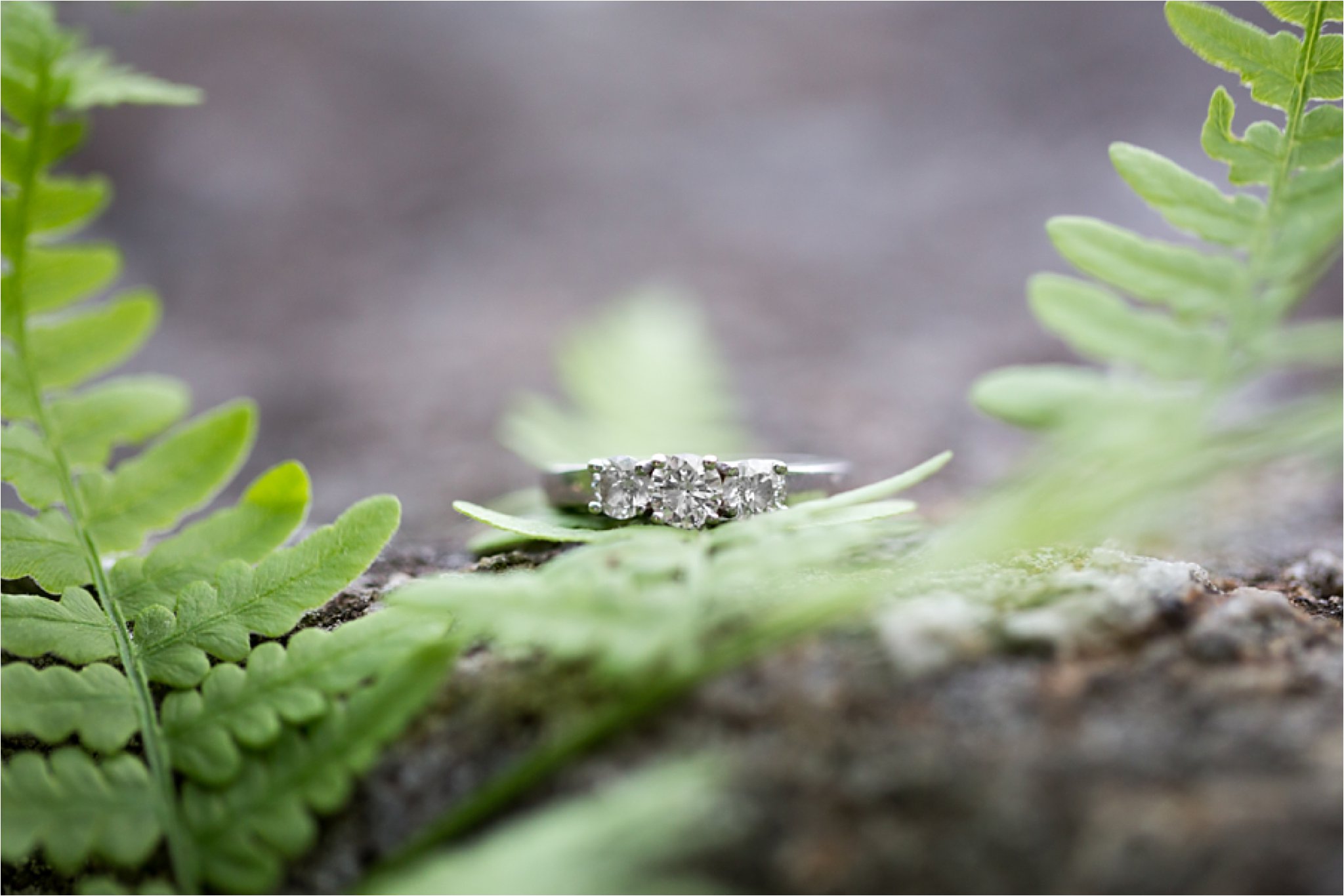 Three-Stone Diamond Engagement Ring with Ferns