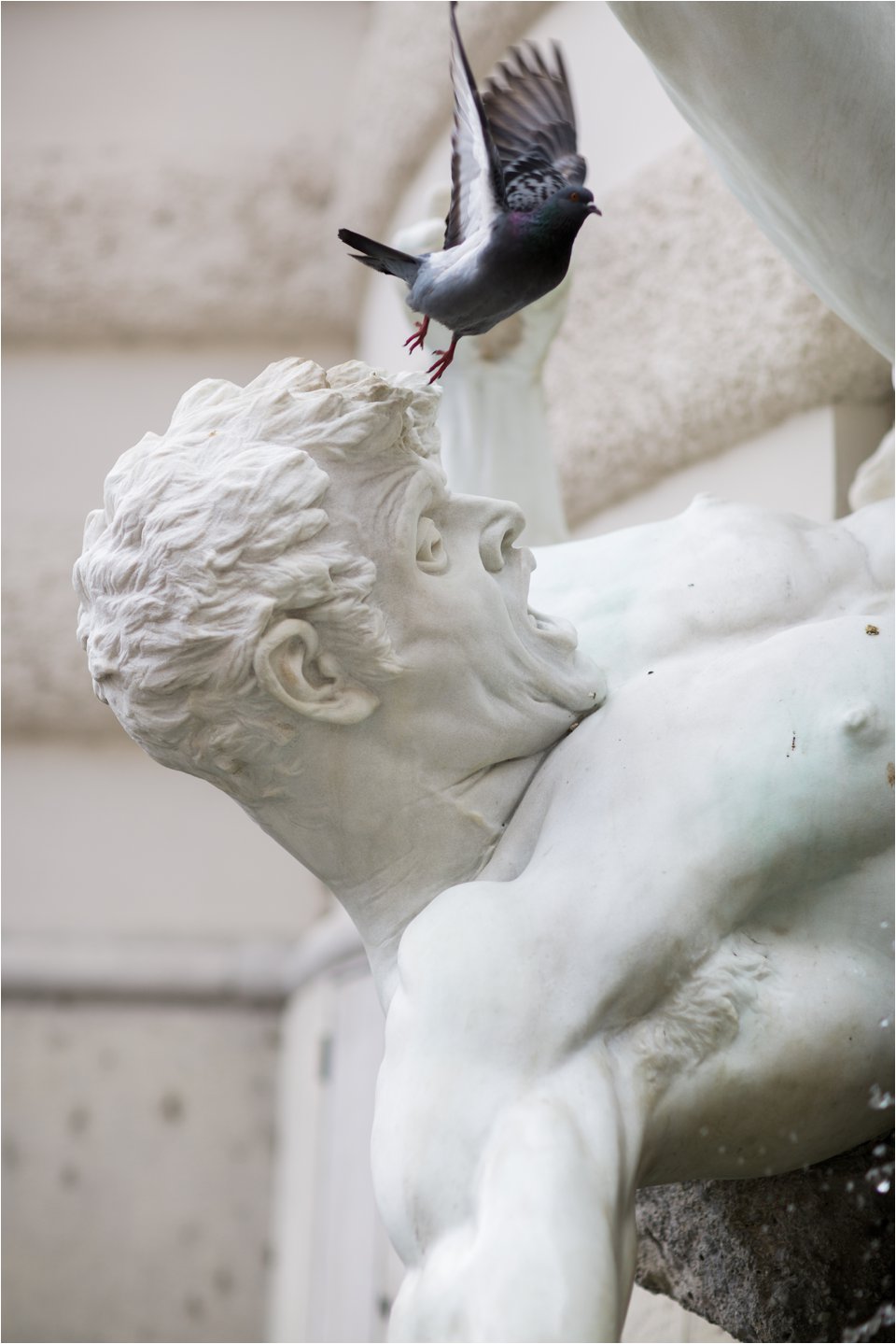 Pigeon Flying From Statue (C) Maundy Mitchell
