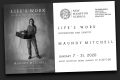 Life's Work: Occupations and Identity