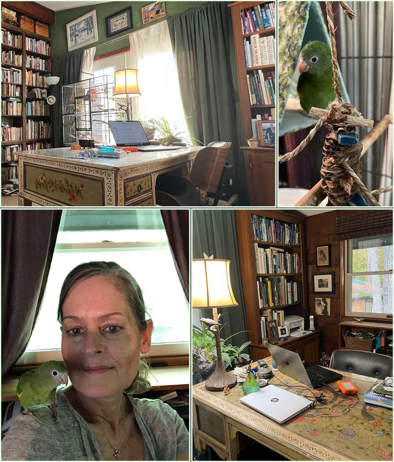 A collage of images of Maundy Mitchell's writing space and Maundy with her bird.