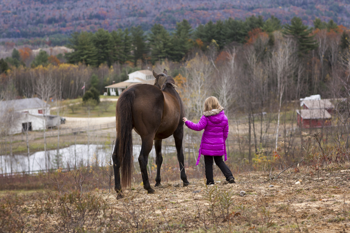 Girl Portrait with Horse