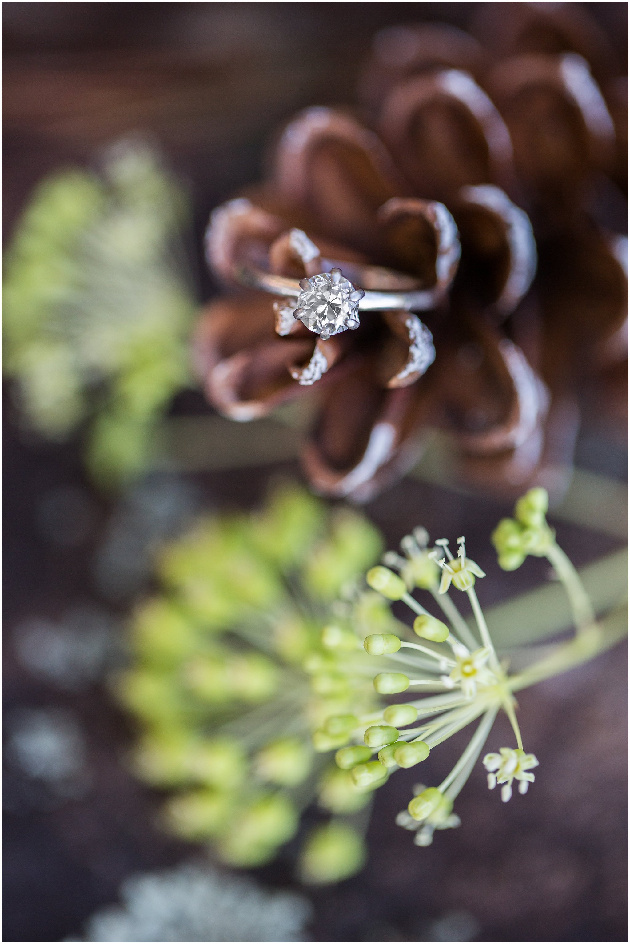 Engagement ring with pinecone and Queen Anne's Lace