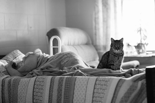Cat on Sleeping Woman's Bed