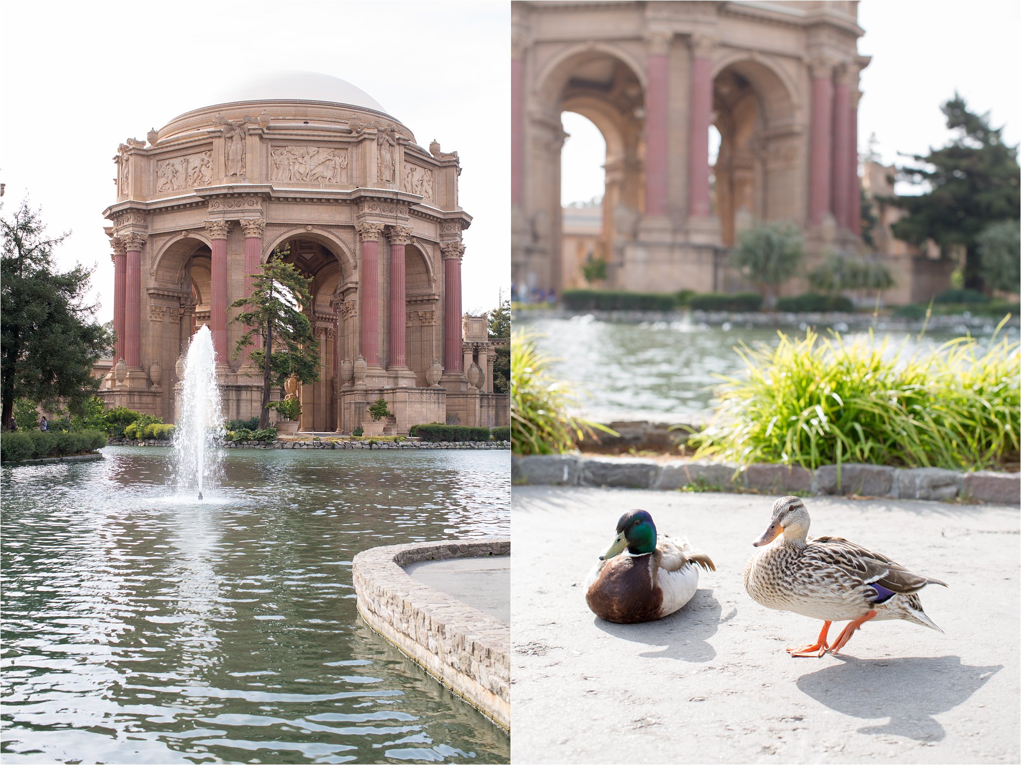 Palace of Fine Arts and Ducks