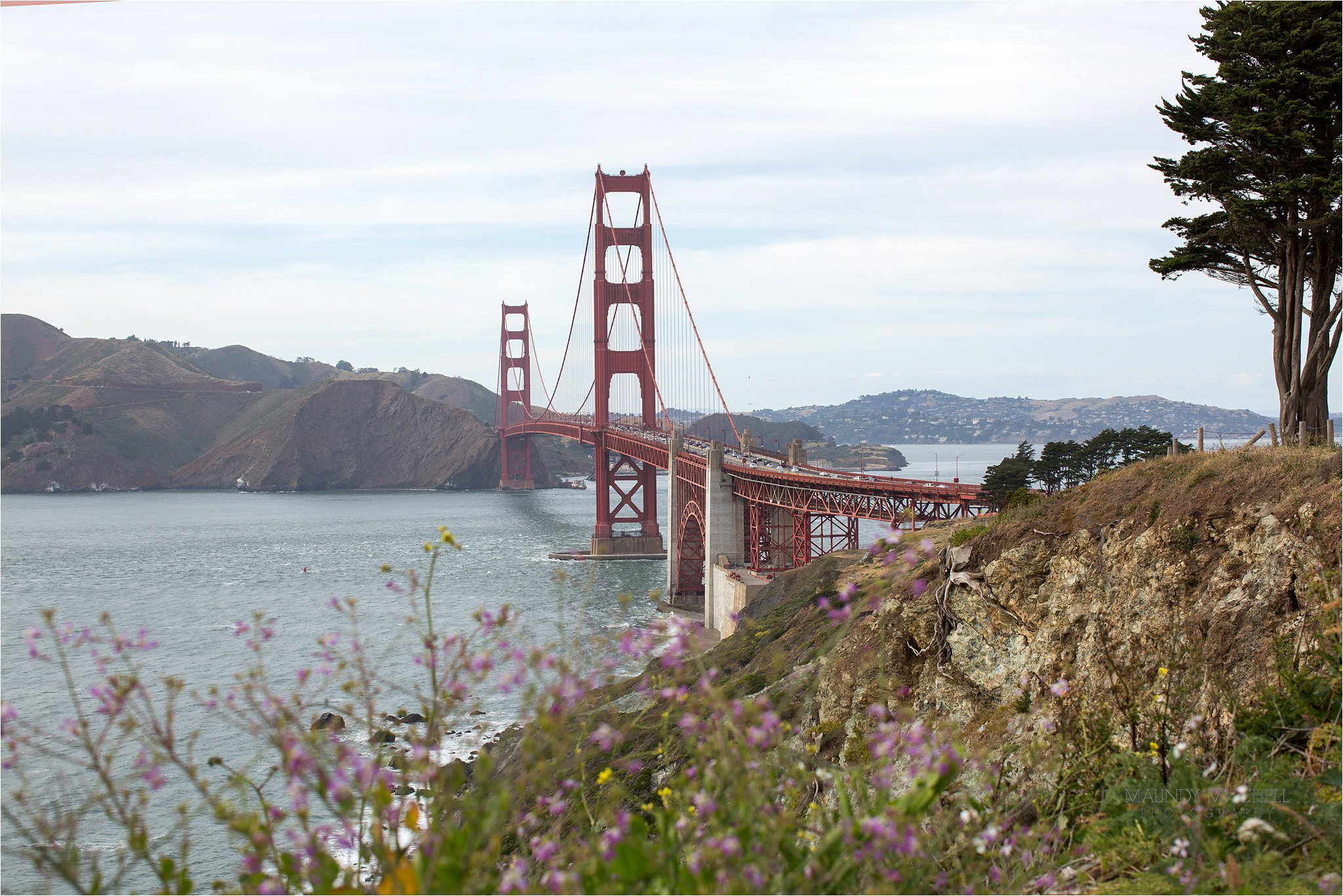 The Golden Gate Bridge with Wildflowers