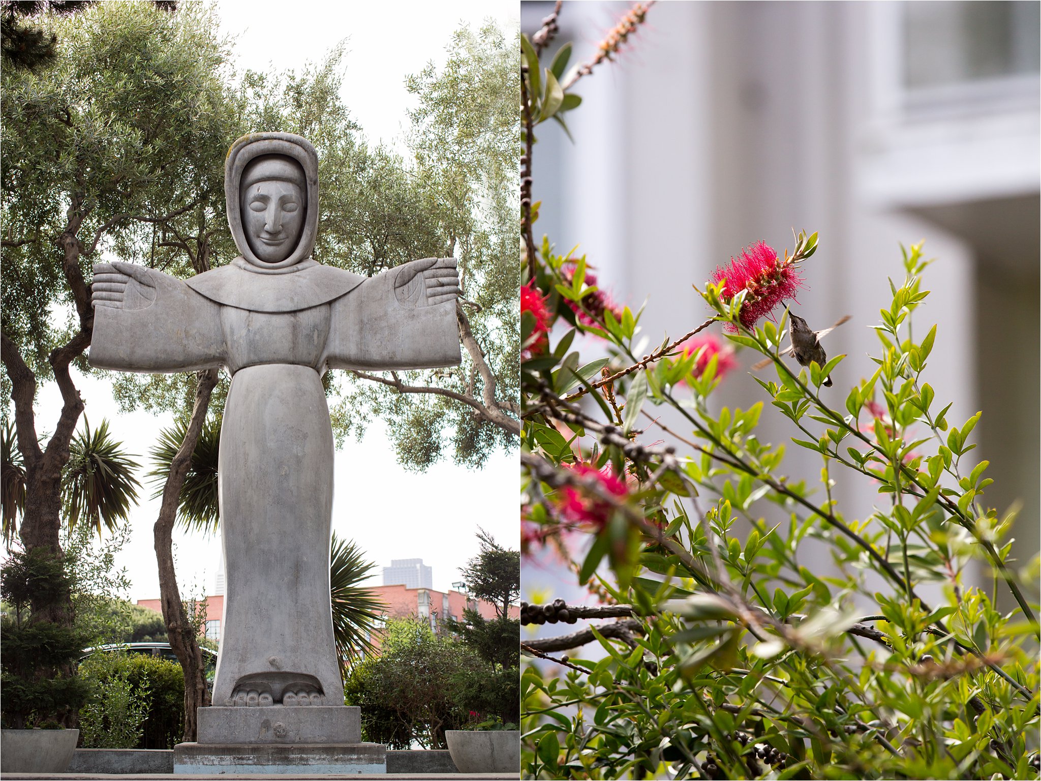 St. Francis Statue and Hummingbird
