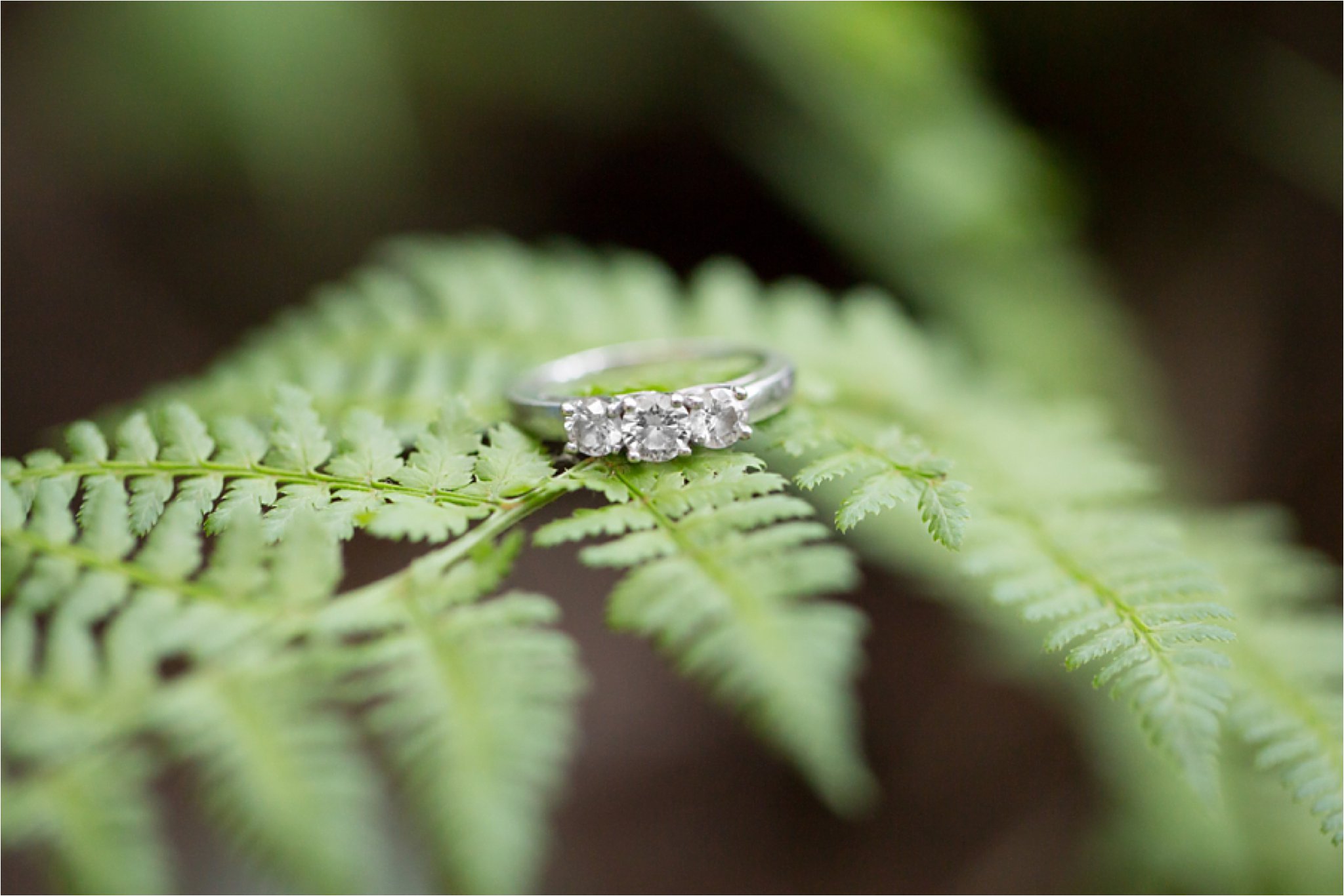 engagement ring on fern
