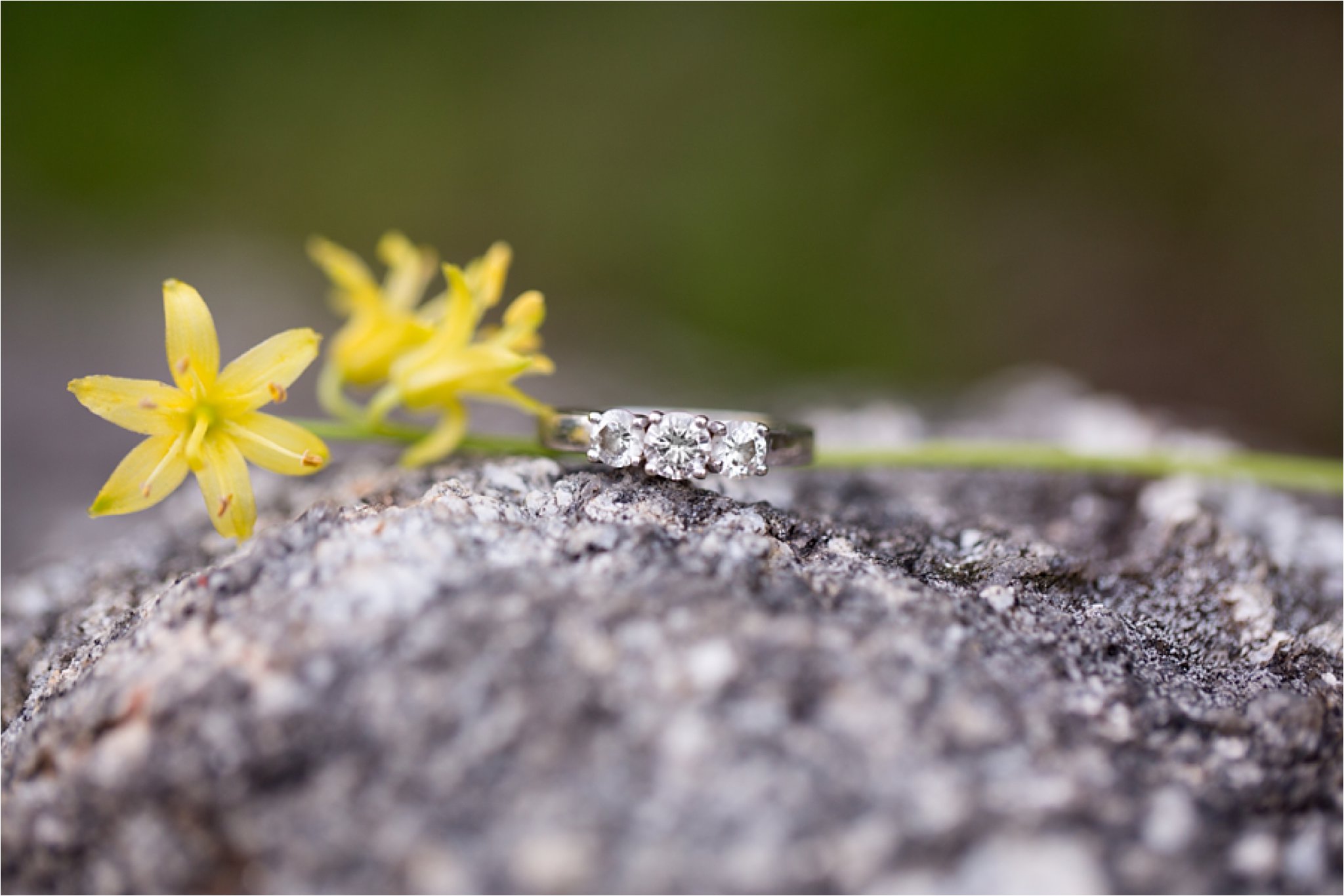 diamond ring on granite with trout lilies