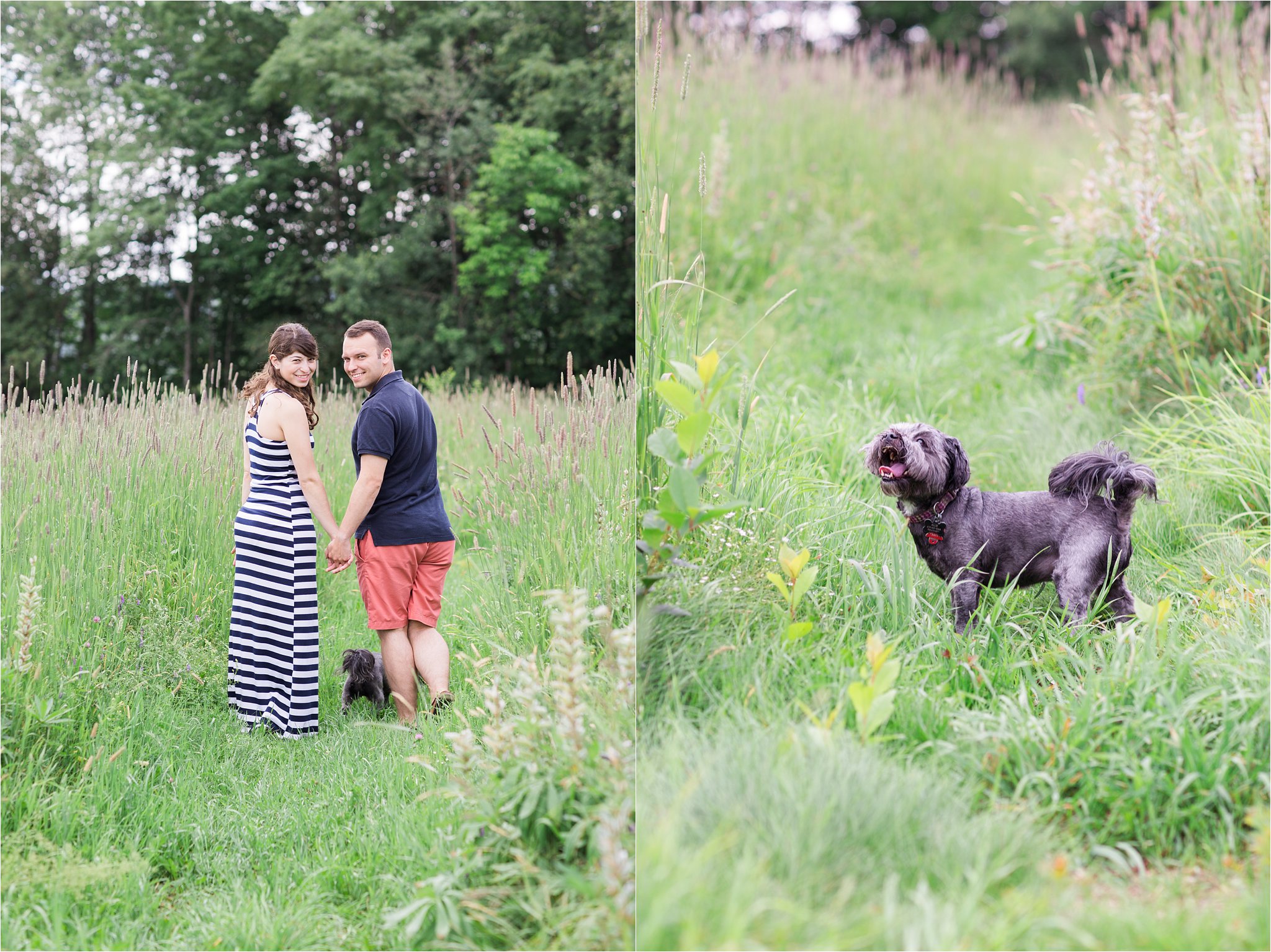 Engagement Photos with Dog © 2015 Maundy Mitchell_0002.jpg