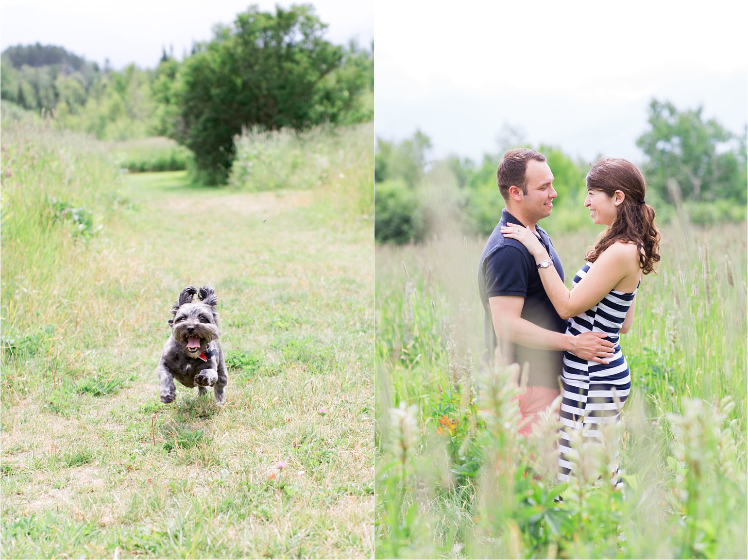 NH engagement photos with dog © 2015 Maundy Mitchell_0013.jpg