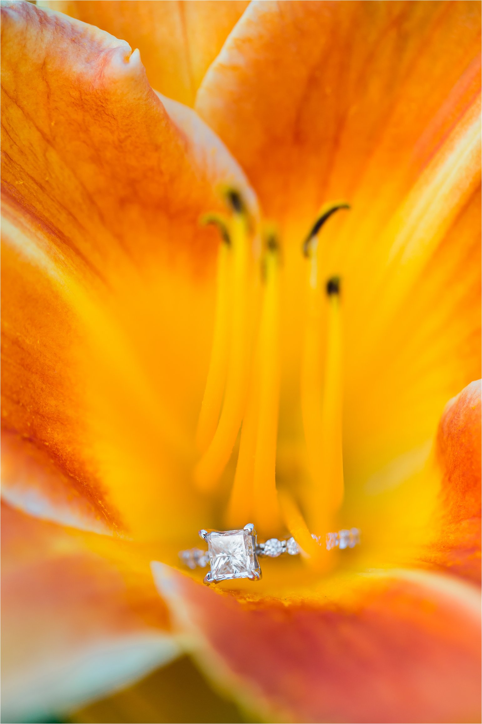 Engagement Ring in Daylily © 2015 Maundy Mitchell