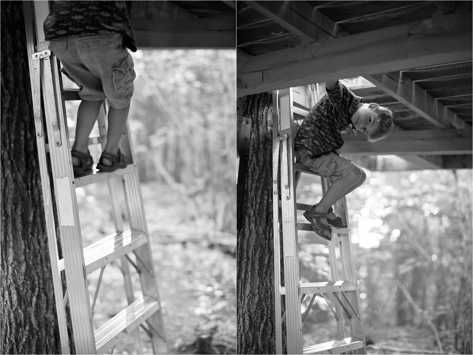 Climbing From the Treehouse © 2015 Maundy Mitchell