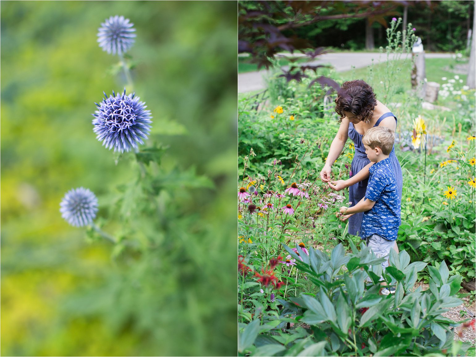 Flowers and Mother and Son Gardening © 2015 Maundy Mitchell