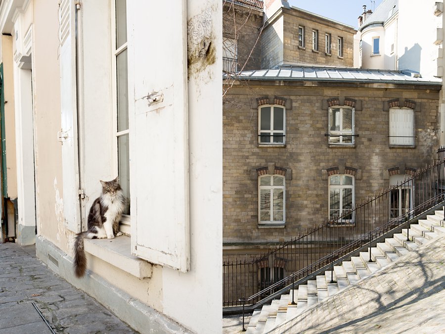 Cat-Steps-Architecture-Montmartre-Paris_0010.jpg