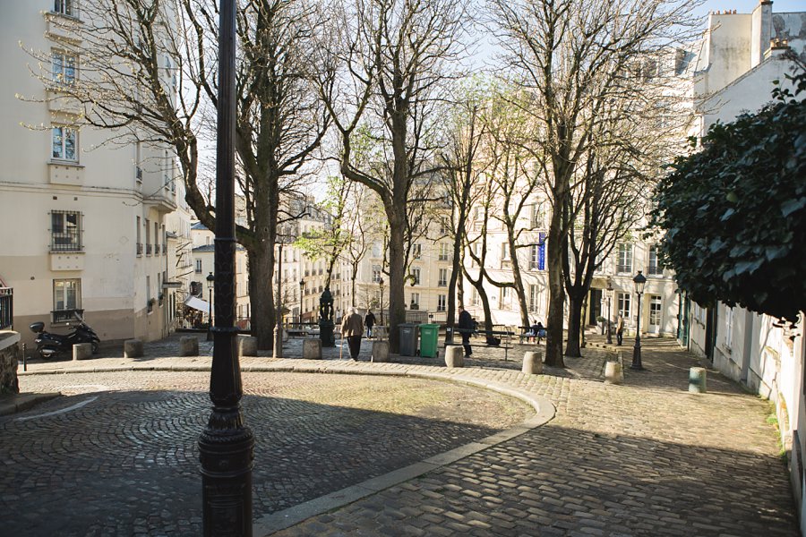 Eiffel-Tower-Montmartre-France_0002.jpg