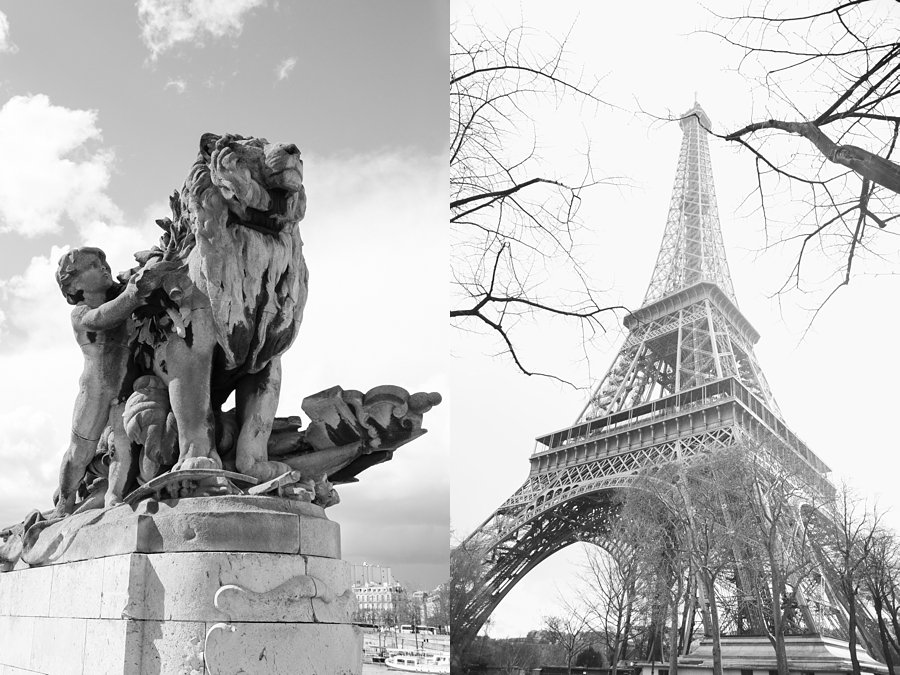 Statue-Lion-Eiffel-Tower-Black-and-White-Paris_0046.jpg