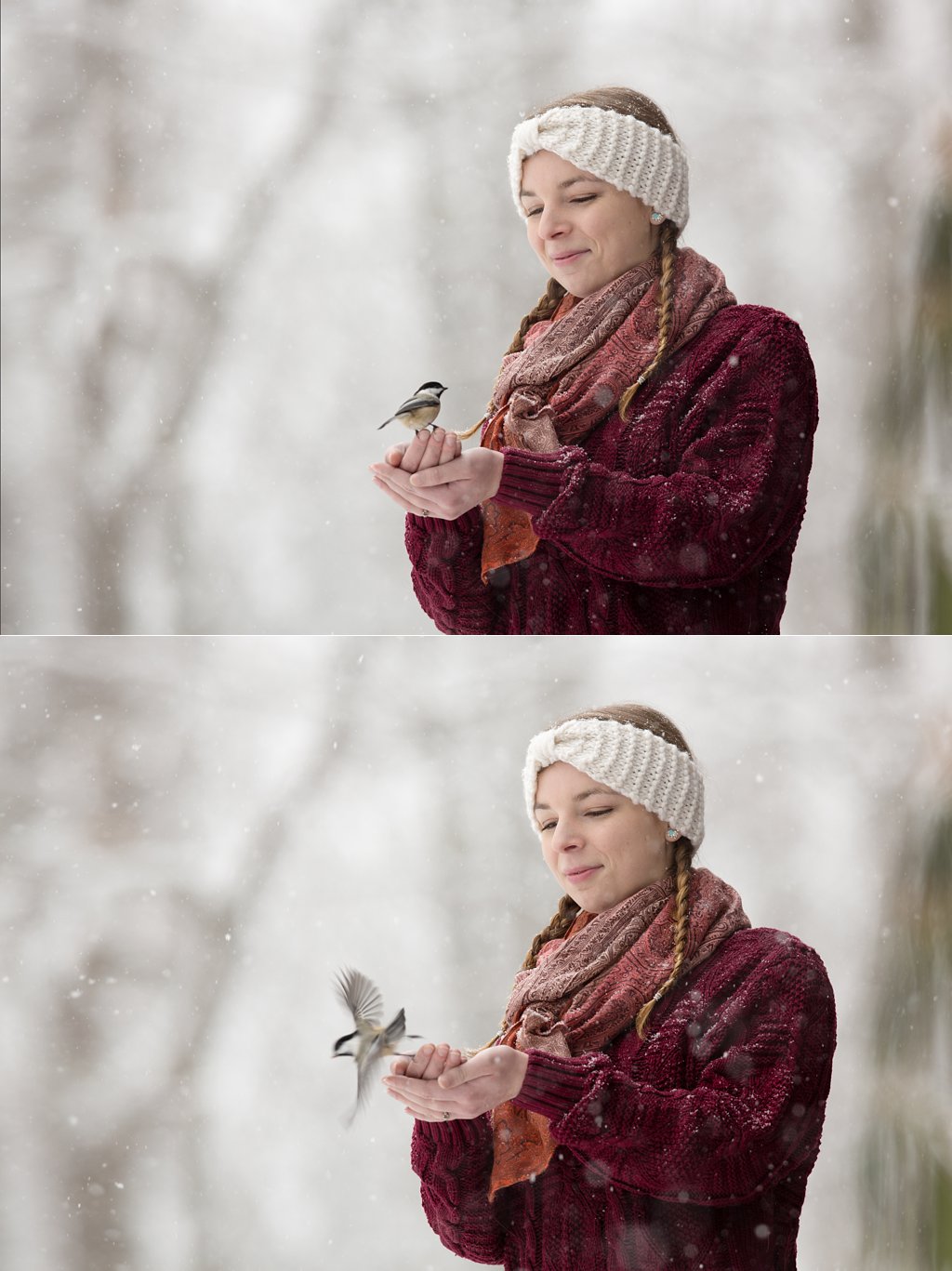 Hand-Feeding Chickadees_0002.jpg