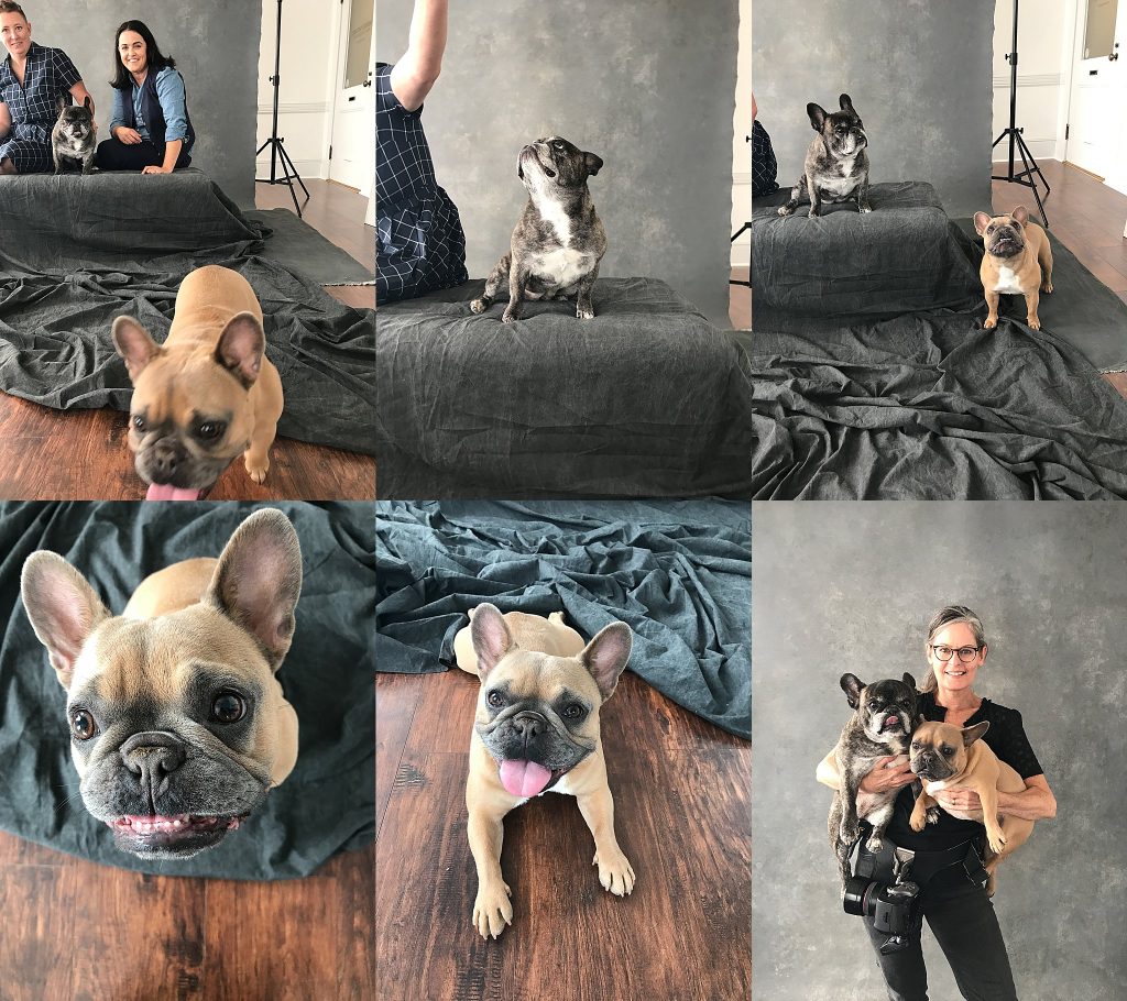 A collage of behind the scenes photos from Jini & Courney's photo session with their dogs