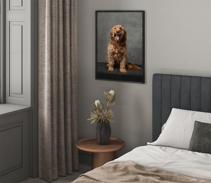 Custom dog portrait, framed, on a bedroom wall