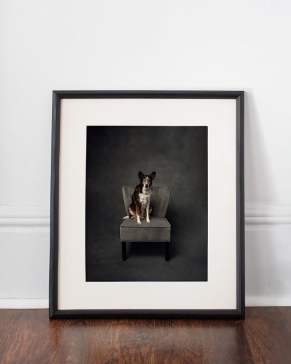 framed wall art of a dog on a chair