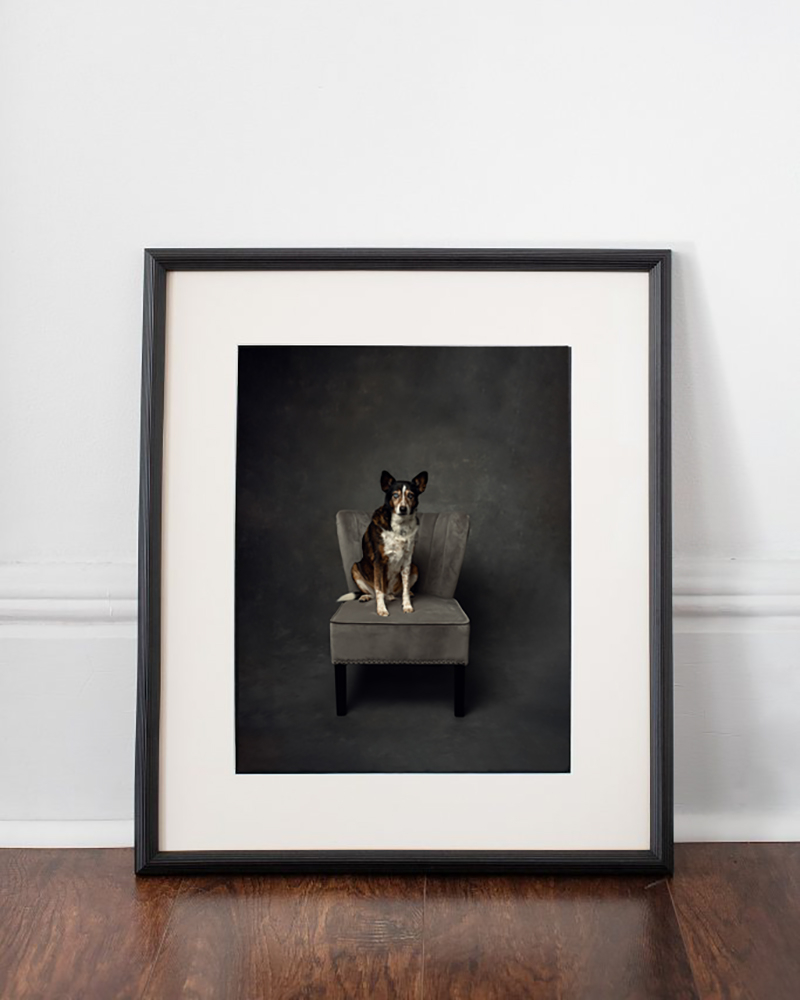 Framed painterly wall portrait of a dog on a velvet chair
