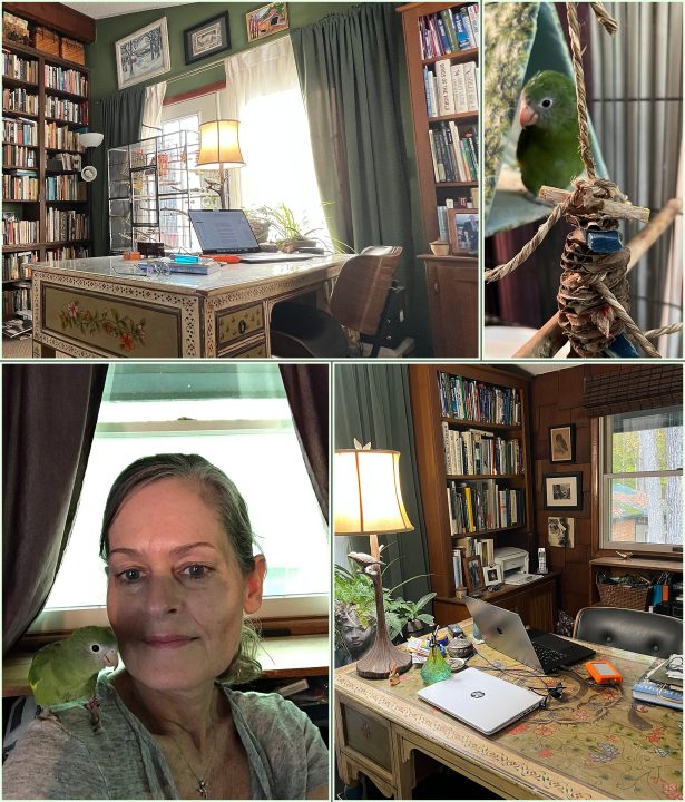 A collage of images of Maundy Mitchell's writing space and Maundy with her bird.